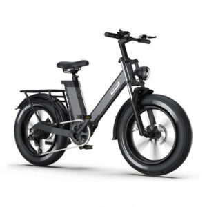 20 inch Fat tire Bike 1000W Electric Mountain Bike