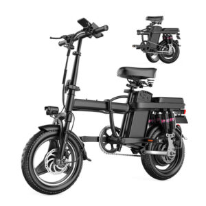 Two Seat E-Bike 48V Lithium Battery Folding Electric Bicycle for Men