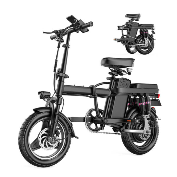Two Seat E-Bike 48V Lithium Battery Folding Electric Bicycle for Men