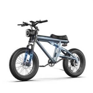 20 Inch 750W Fat Tire Electric Bike